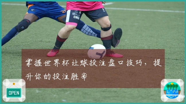 掌握世界杯让球投注盘口技巧，提升你的投注胜率