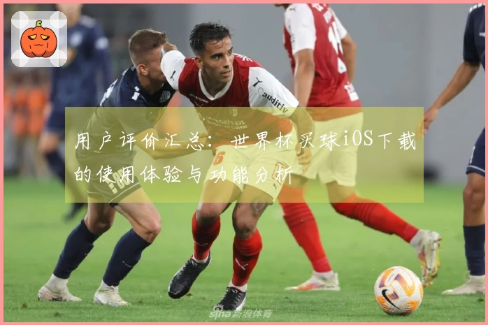 用户评价汇总：世界杯买球iOS下载的使用体验与功能分析
