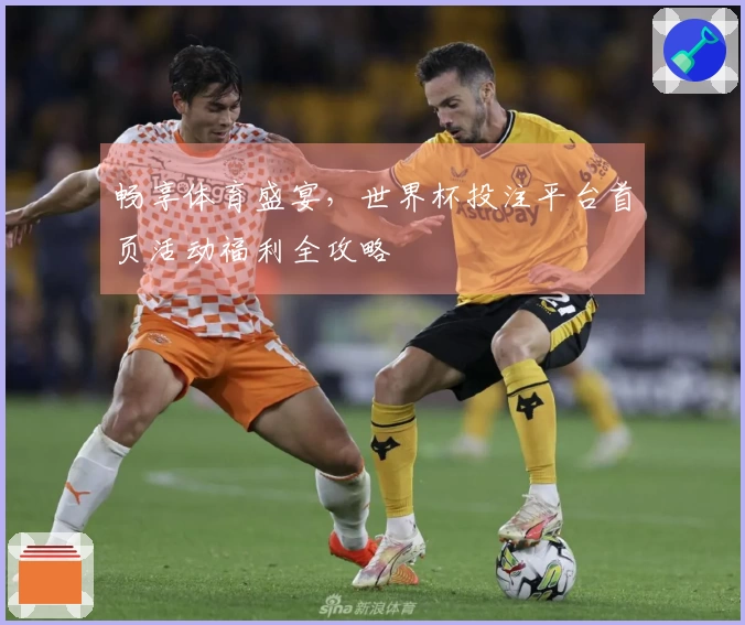 畅享体育盛宴，世界杯投注平台首页活动福利全攻略