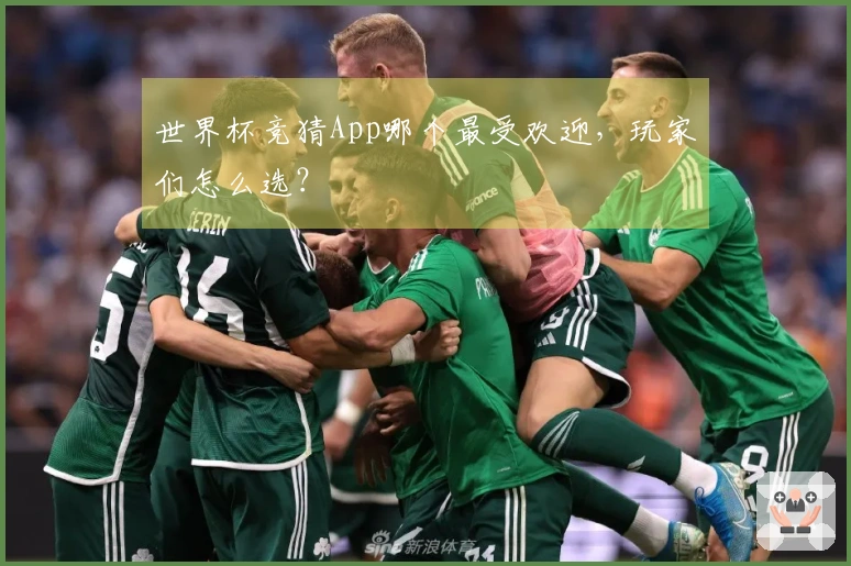 世界杯竞猜App哪个最受欢迎，玩家们怎么选？