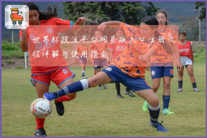 世界杯投注平台网页版入口注册流程详解与使用指南