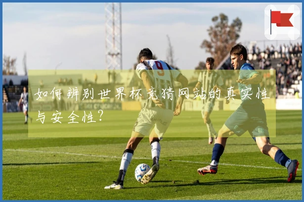 如何辨别世界杯竞猜网站的真实性与安全性？