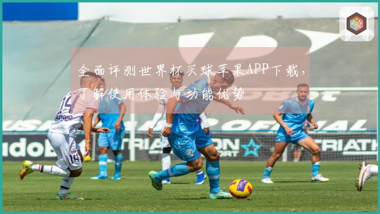 全面评测世界杯买球苹果APP下载，了解使用体验与功能优势