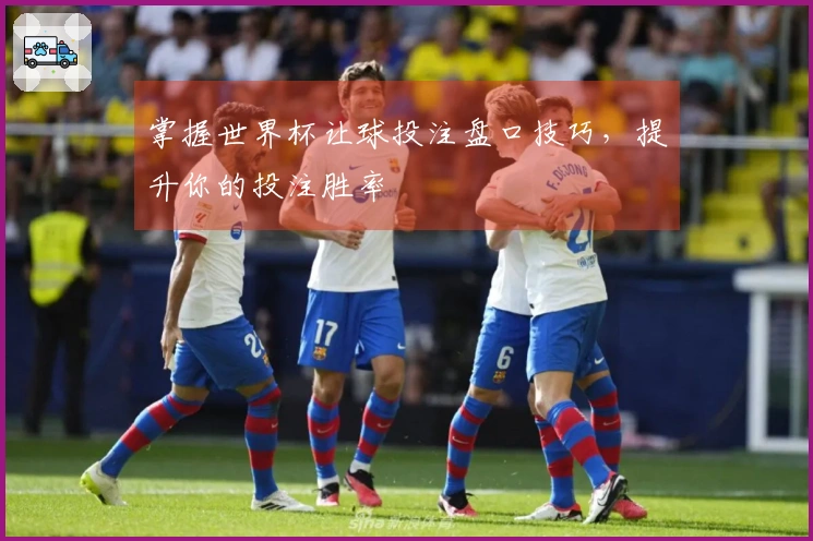 掌握世界杯让球投注盘口技巧,提升你的投注胜率