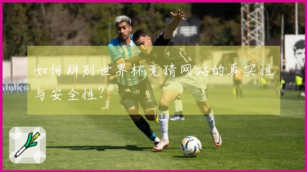 如何辨别世界杯竞猜网站的真实性与安全性?