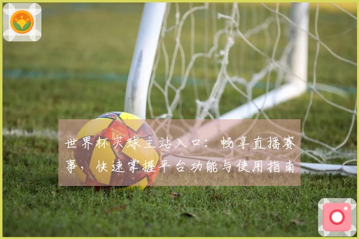 世界杯买球主站入口：畅享直播赛事，快速掌握平台功能与使用指南