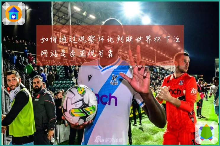 如何通过观察评论判断世界杯下注网站是否正规可靠