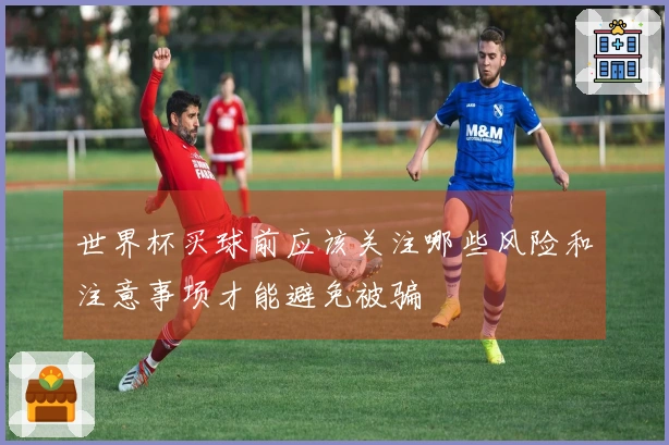 世界杯买球前应该关注哪些风险和注意事项才能避免被骗