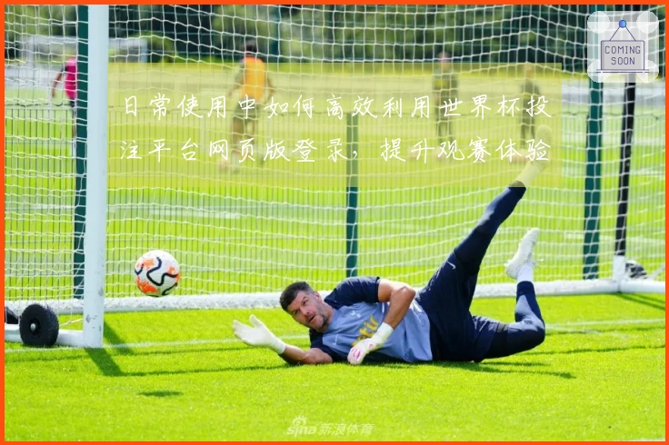 日常使用中如何高效利用世界杯投注平台网页版登录，提升观赛体验