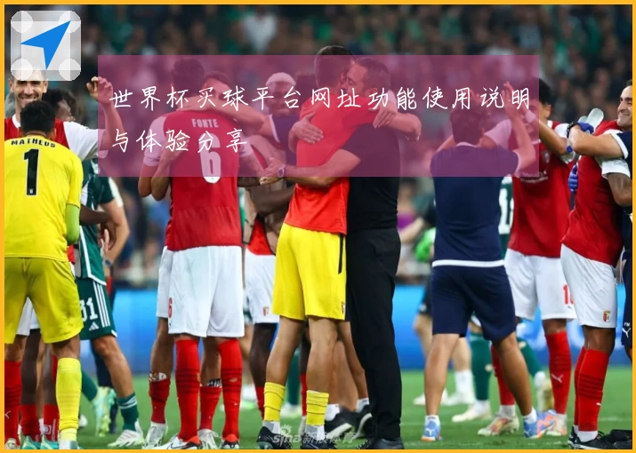 世界杯买球平台网址功能使用说明与体验分享